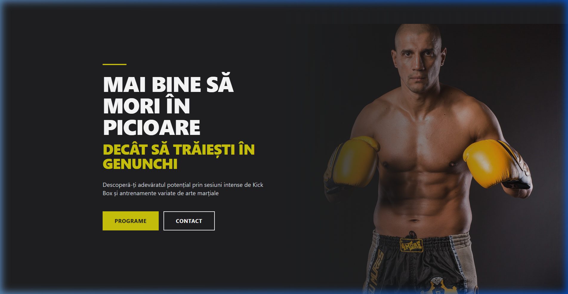 Black Diamond Fight Club — Studiu de caz redesign website